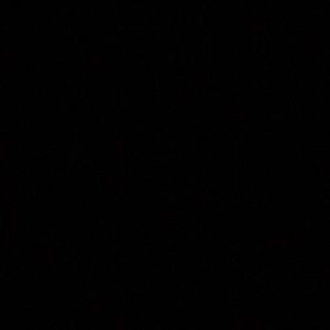 Meet your Posher, Tiana